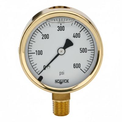 NOSHOK 25-300-200-PSI-SGO-GY40
