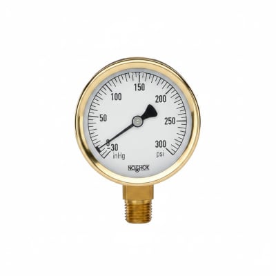 NOSHOK 25-300-30/300-PSI/BAR-CFF-MIP