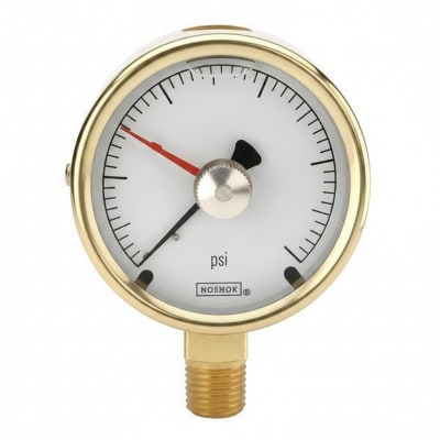 NOSHOK 25-300-30/300-PSI/BAR-BFF-MIP-CC