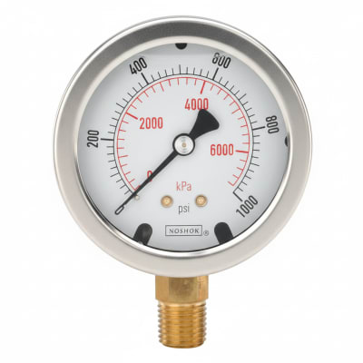 NOSHOK 25-400-200-PSI-SG-IA