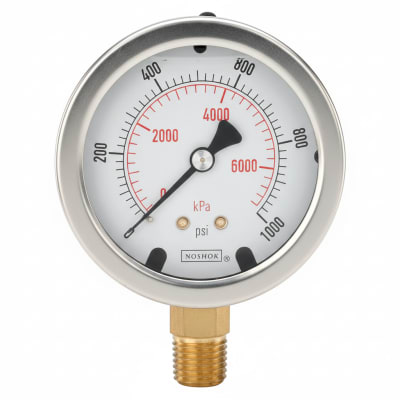 NOSHOK 25-500-200-PSI-SG-SL