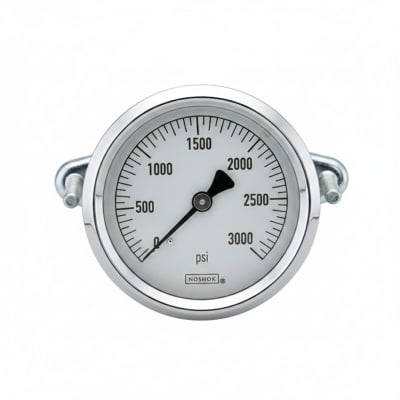 NOSHOK 25-300-30/300-PSI/KPA-BFF-MIP-CC