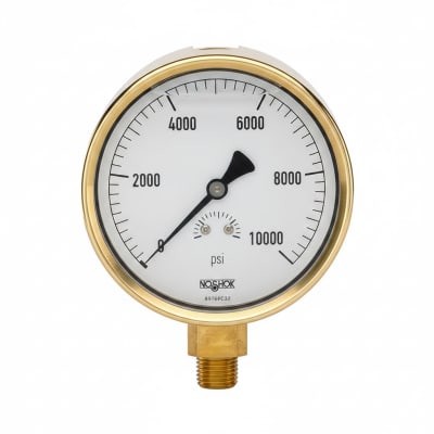 NOSHOK 40-310-5000-PSI-CFF-BT4