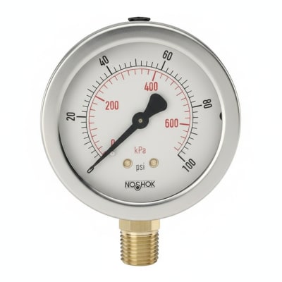 NOSHOK 25-911-60-BAR/PSI-G1/4-DRY