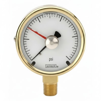 NOSHOK 25-300-30/300-PSI/BAR-CFF-MIP-CC