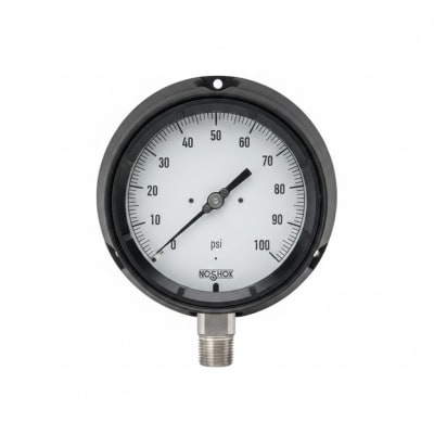 NOSHOK 45-660-30-PSI-GL-BT8-SL