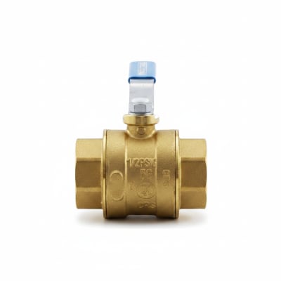 MAXITROL BV250-1 1/4