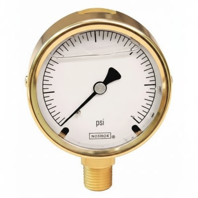 NOSHOK 25-300-5000-PSI-CFF-BT4