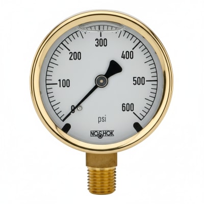 NOSHOK 25-300-400-PSI-CFF-BT4