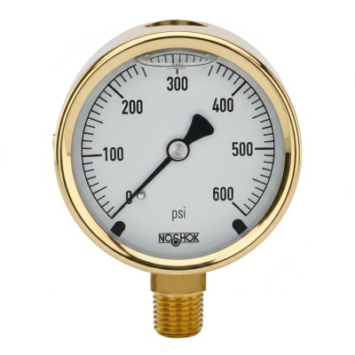 NOSHOK 25-300-400-PSI-SGO-GY40