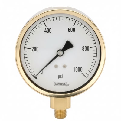 NOSHOK 25-300-5000-PSI-RF