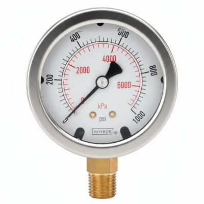 NOSHOK 40-300-3000-PSI-BT3