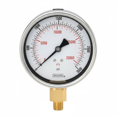NOSHOK 25-300-300-PSI/KG/CM2-BFF