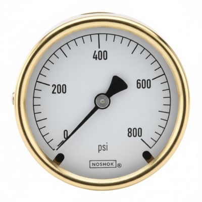 NOSHOK 25-300-30/160-PSI/BAR-BFF