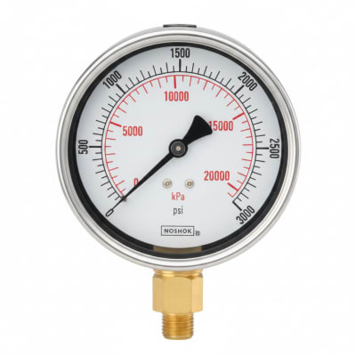 NOSHOK 25-300-300-PSI-CFF-MIP