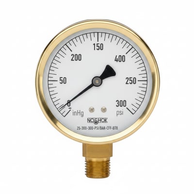 NOSHOK 25-300-300-PSI/BAR-CFF-BT8