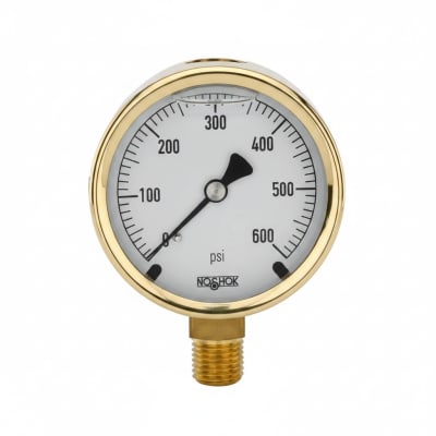 NOSHOK 25-300-300-PSI/BAR-CFF-CC