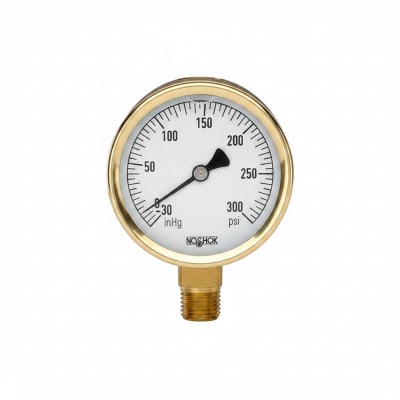 NOSHOK 25-300-300-PSI/BAR-BFF-BT8