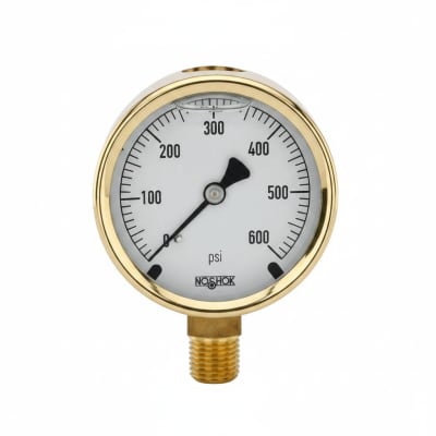 NOSHOK 25-300-300-PSI/BAR-CFF-MIP-BT8-CC