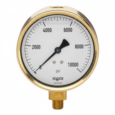 NOSHOK 25-300-300-PSI/KPA-BFF-BT8