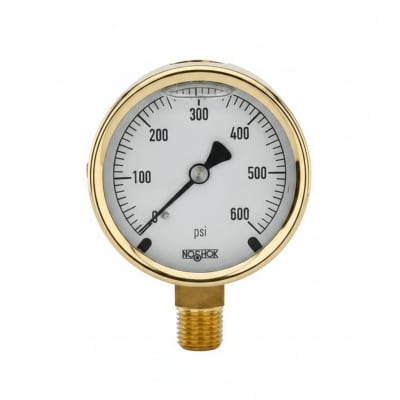 NOSHOK 25-300-300-PSI/KPA-CFF-MIP-BT8-CC