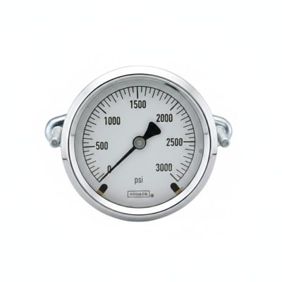 NOSHOK 25-300-30/160-PSI/BAR-BFF-MIP-BT8-CC