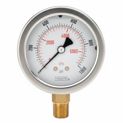 NOSHOK 25-310-800-PSI-SGO-GY40