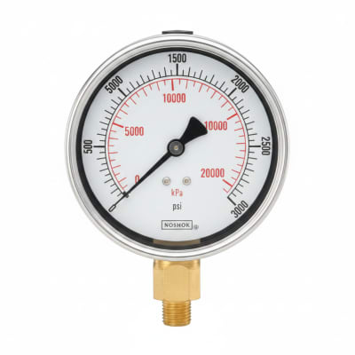 NOSHOK 25-300-300-PSI/BAR-CFF