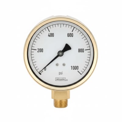 NOSHOK 40-310-1000-PSI-BFF-BT8