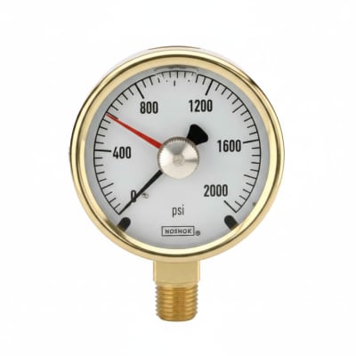 NOSHOK 40-300-300-PSI/BAR-BFF