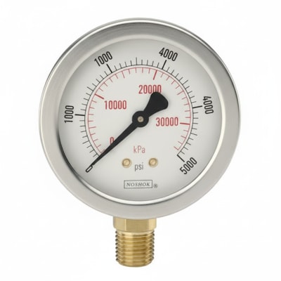 NOSHOK 40-510-10000-PSI/KPA-MIP