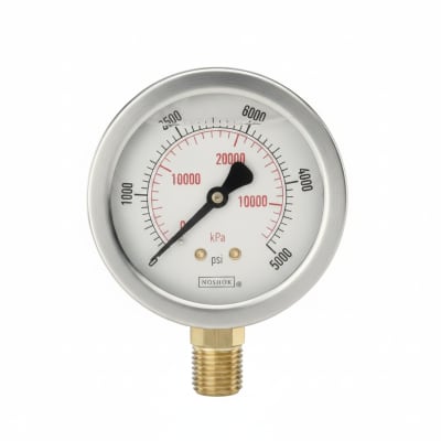 NOSHOK 25-901-60-PSI/KPA-SG-BP3