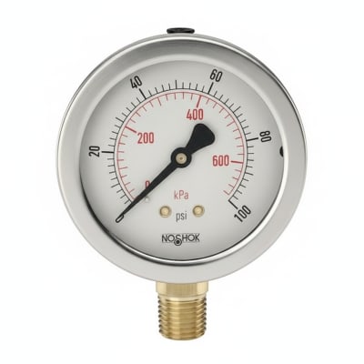 NOSHOK 25-410-10000-PSI/BAR-MIP