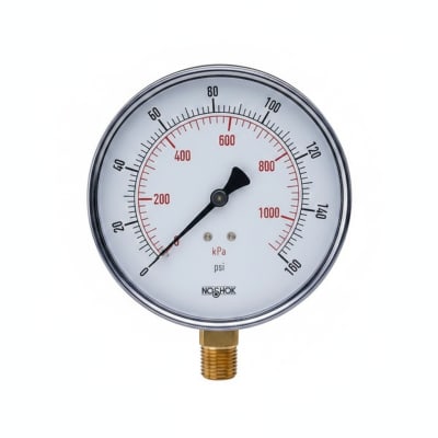 NOSHOK 30-02C-S-T-06S