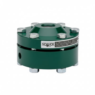 NOSHOK 30-02C-S-V-06S