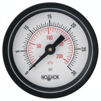 NOSHOK 40-300-400-PSI/KPA-BFF