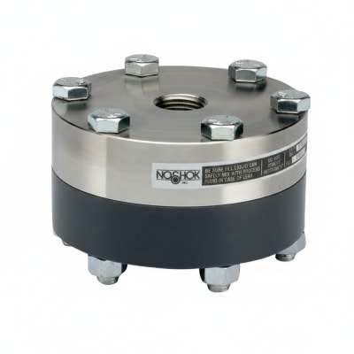 NOSHOK 10L-02S-T-T-02PV