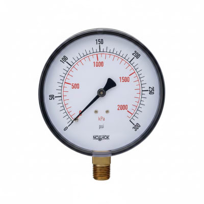 NOSHOK 25-300-100-PSI-SST-BFF-CC