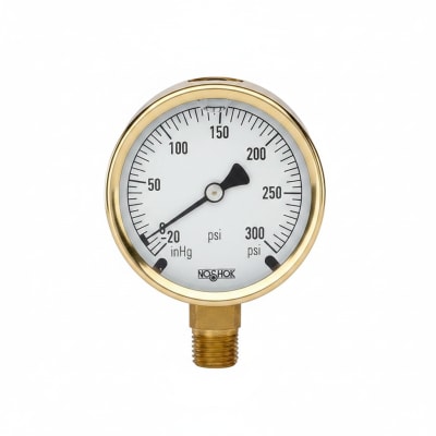 NOSHOK 25-300-100-PSI/BAR-SST-BFF-MIP