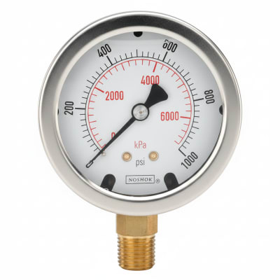 NOSHOK 25-300-100-PSI/KPA-SST-BFF-BT8-CC