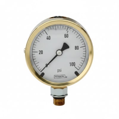 NOSHOK 25-300-100-PSI-SST-CFF