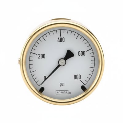 NOSHOK 25-300-100-PSI-SST-CFF-BT8-CC