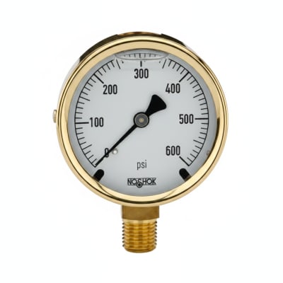 NOSHOK 25-300-100-PSI/BAR-SST-CFF-BT8-CC