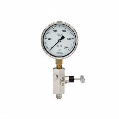 NOSHOK 25-300-1000-PSI-SST-BFF-MIP-BT8