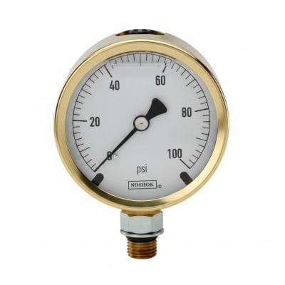 NOSHOK 25-300-1000-PSI-SST-CFF-BT8-CC