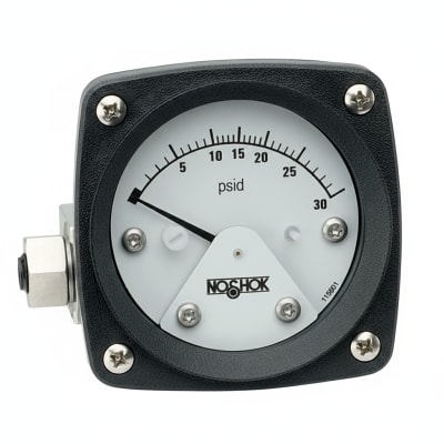 NOSHOK 25-300-1000-PSI-SST-BFF-MIP-CC
