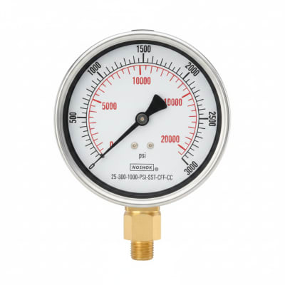 NOSHOK 25-300-1000-PSI-SST-CFF-CC