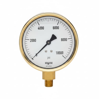 NOSHOK 25-300-100-PSI/KG/CM2-SST-BFF-BT8-CC