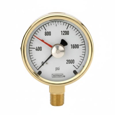 NOSHOK 25-300-1000-PSI/BAR-SST-CFF-BT8