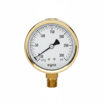NOSHOK 25-300-100-PSI/KG/CM2-SST-CFF